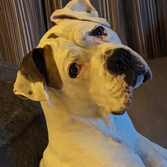 Meet your Posher, Sarah - Picture 2 of 6